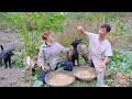 Sang vy builds a farm together, plants and harvests, vegetable garden, chickens - Sang vy farm