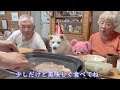 大好きな柴犬あいちゃんが１５歳になりました。