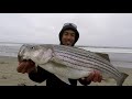 The Most EPIC Striped Bass Surf Session! Live Anchovies Washed on Shore!!