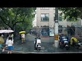 SHANGHAI/梅雨季漫步在上海街头/闷热的夏日上海