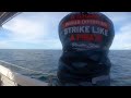 Non stop strike ini team sampai muntah tong | teknik jigging + apolo berjaya memujuk ikan di dasar