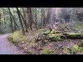 Searching For Elves | POV Nature Walk | Routeburn New Zealand | Calm Ambient Music