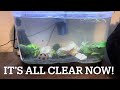 Cleaning my dirty aquarium - you WON’T believe how good it will look!