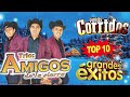 Rancheritas con el trio Los Amigos de la sierra 🎶Las Mejores Canciones💽 Exitos De Oro