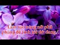 Hoa Sứ Nhà Nàng (Hoàng Phương) Karaoke Tone Nữ (Gm)