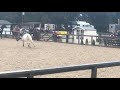 HORSE FAILS | my worst, most embarrassing, and funniest falls and fails!