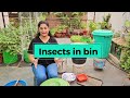 🔴 MAKE COMPOST FERTILIZER FROM KITCHEN WASTE खाद कैसे बनाए / DIY COMPOST BIN/ #compost #gardening