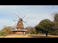 Winter gardens in The suburbs of TOKYO. 東京近郊の冬のガーデン. #4K #ヒマラヤ桜 #アイスチューリップ