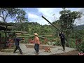 Tuan and Hang's Journey into the Bamboo Forest: Traditional Vietnamese Wind-Dried Radish Making