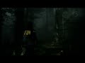 AlanWake 2 4K 144 MHz AMD 7900XT Settings HIGH 35-50 FPS