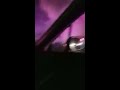 Flaming death of a car on the NJ Turnpike