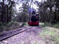 Illawarra Light Railway Museum steam loco parade