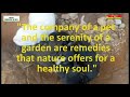 Health Quotes   - Nature, Flowers & Pets