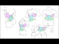 drawing abs tips and tricks | simplified look at abs