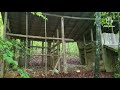 Old house with a creepy well