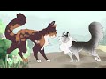 How I draw Warrior Cats (or just cats in general)