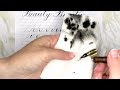 Best Calligraphy Nib Beginners Guide [+ FREE PRACTICE SHEET] #calligraphyforbeginners #calligraphy