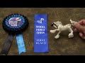 On the Edge Live Model Horse Show Placings