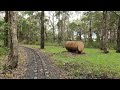 Drivers' Views Trains Big and Small. Albion Park Wollongong NSW