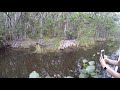 Airboat tour ride Everglades swamp alligators wild nature thrilling adventure | Jarek in Florida USA