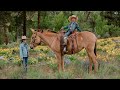 Molly the Mule: Cowgirl Cadillacs 2024 (Sheridan)