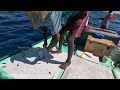 Catching 97kg Yellowfin Tuna Using Live Rosy Snapper Fish