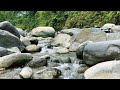 Relaxing River Sounds - Peaceful Forest River