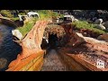 Splash Mountain Farewell Disneyland- FULL Ride POV [4K] Log Flume Ride