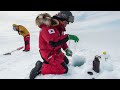 Inside France's $38M Floating Arctic Research Station