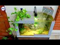 Build astonishing fish aquarium from unexpected materials