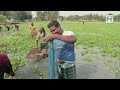 শীতকালের প্রহরে প্রহরে শীতকাতর গ্রাম বাংলা || Panorama Documentary