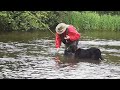 A guy and dog fly fishing 🎣