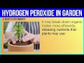 10 POWERFUL Benefits Of Hydrogen Peroxide For Your Plants & Garden