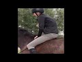 EQUESTRIAN FAILS, FALLS AND MORE