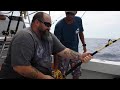 Goliath grouper fishing