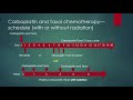 Understanding your treatment:  Carboplatin/Taxol chemotherapy