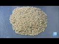 How It's Made: Rice