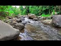 Water Stream Sounds for Sleeping : Serenity in the Wilderness - Flowing River in  Stretch of Boulder