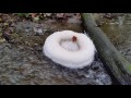 Funny floating forming foamring