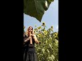 Sunflower Flute Song #1 - by Robyn Bellospirito