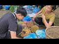 Pregnant Mother Picks Jackfruit To Sell At The Market, Farm Life- Lý Thị Nhâm