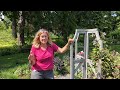 A trunkload of plants to spruce up the circle garden