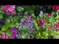 Garden Tour BURSTING with Color, Creativity & a HYDRANGEA WATERFALL!!!!!!!