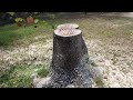 PART 1 neat tree stump bird bath / feeder build.