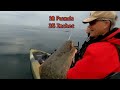 Huge Central Coast Halibut - Kayaking Cambria, CA In My Compass Kayak