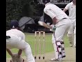 Law 29 of cricket, bails must fall off the wicket!
