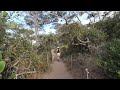 Hiking CALIFORNIA : EB Overlook, Razor Point & Guy Fleming | Torrey Pines State Natural Reserve | 4K