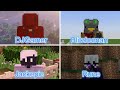 Streamers SMP S2 - Features & Members