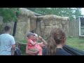 TRIP TO POTAWATOMI ZOO WITH MY DAD ON FATHERS DAY PART 1