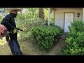 INJURED Man Can’t CUT HIS OVERGROWN Yard Gets A BIG SURPRISE MAKEOVER